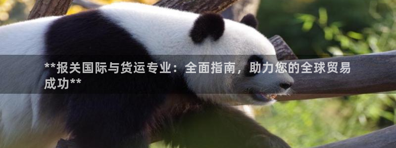 尊龙z6.con：**报关国际与货运专业：全面指南，助力