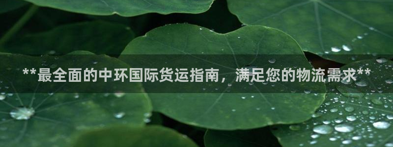 d88尊龙手机客户端下载：**最全面的中环国际货运指南，