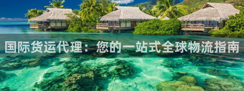 尊龙凯时平台还是万搏好：国际货运代理：您的一站式全球物流