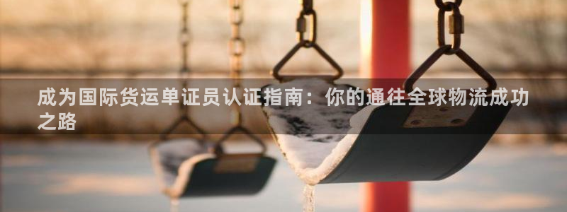 尊龙人生就是博旧版：成为国际货运单证员认证指南：你的通往