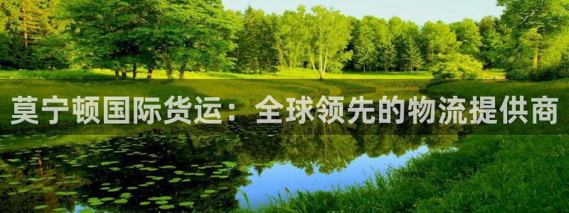 尊龙凯时取款有要求吗：莫宁顿国际货运：全球领先的物流提供