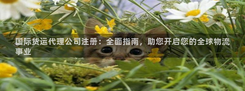 尊龙凯时vip：国际货运代理公司注册：全面指南，助您开启