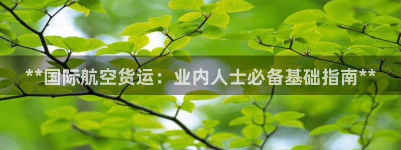 尊龙手机官方客户端下载：**国际航空货运：业内人士必备基