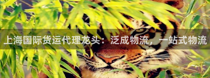 尊龙凯时 人生就是搏首页：上海国际货运代理龙头：泛成物流