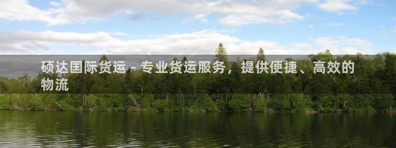 尊龙凯时 人生就是搏!：硕达国际货运 - 专业货运服务，