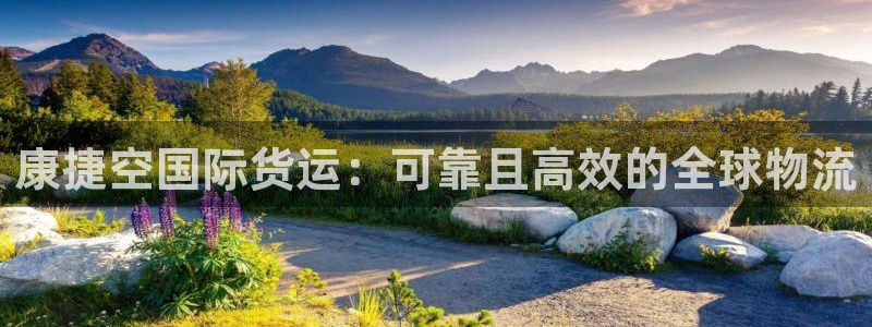 尊龙凯时可以提现吗：康捷空国际货运：可靠且高效的全球物流