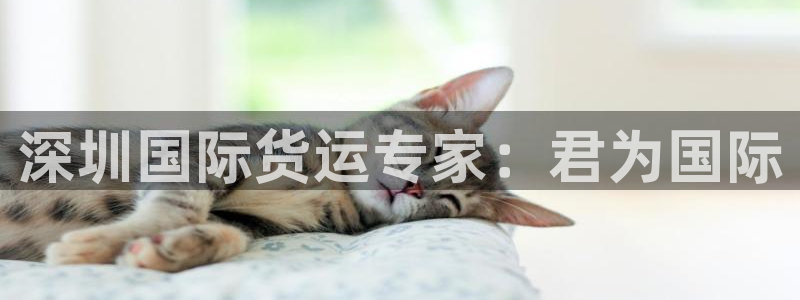 尊龙人生就是博d88 - Z6尊龙官方网站：深圳国际货运