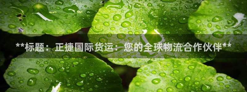 尊龙手机官方客户端下载：**标题：正捷国际货运：您的全球