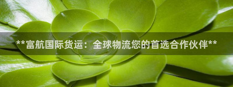 尊龙人生就是博旧版现金娱乐一下：**富航国际货运：全球物