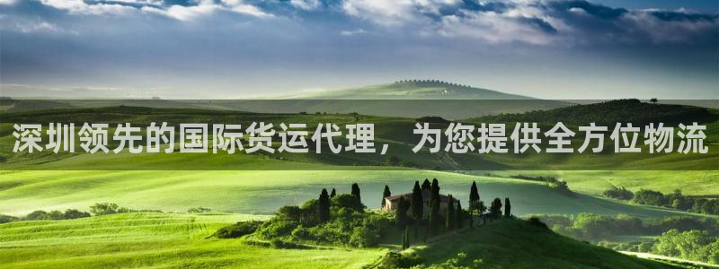尊龙凯时福米推荐人：深圳领先的国际货运代理，为您提供全方