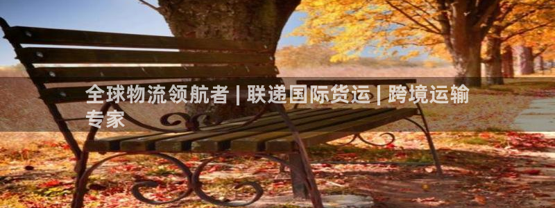 尊龙凯时线下赌场：全球物流领航者 | 联递国际货运 | 
