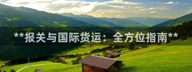 尊龙凯时平台不给出款怎么办：**报关与国际货运：全方位指