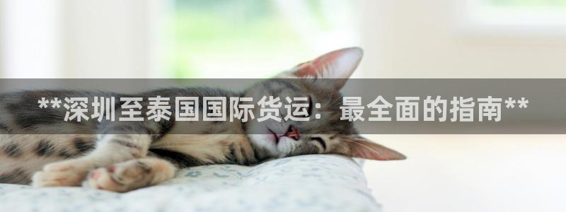 尊龙客服：**深圳至泰国国际货运：最全面的指南**