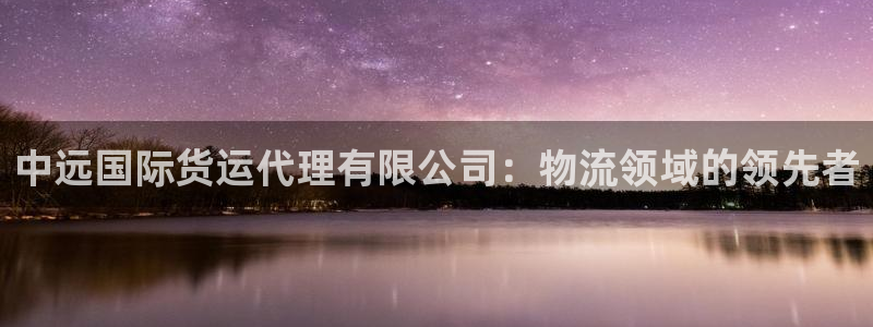 尊龙人品怎么样：中远国际货运代理有限公司：物流领域的领先
