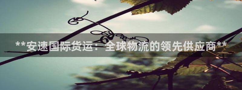 尊龙现金d88：**安速国际货运：全球物流的领先供应商*