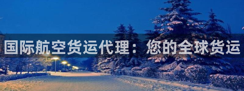 尊龙凯时人生就是搏!平台：国际航空货运代理：您的全球货运