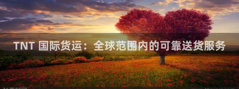 尊龙凯时人生就是搏·(中国)官网：TNT 国际货运：全球