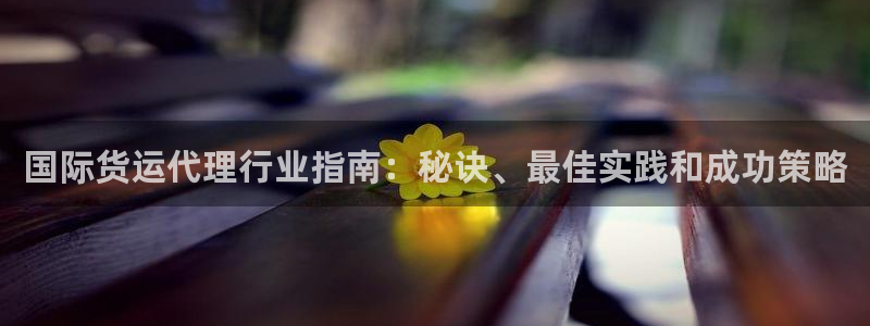 尊龙人生就是博AG：国际货运代理行业指南：秘诀、最佳实践