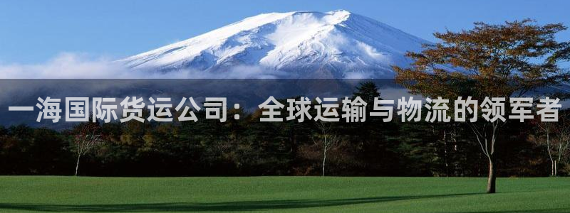 尊龙凯时邀请码：一海国际货运公司：全球运输与物流的领军者