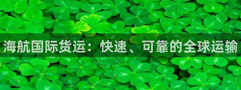 尊龙凯时用户名m：海航国际货运：快速、可靠的全球运输