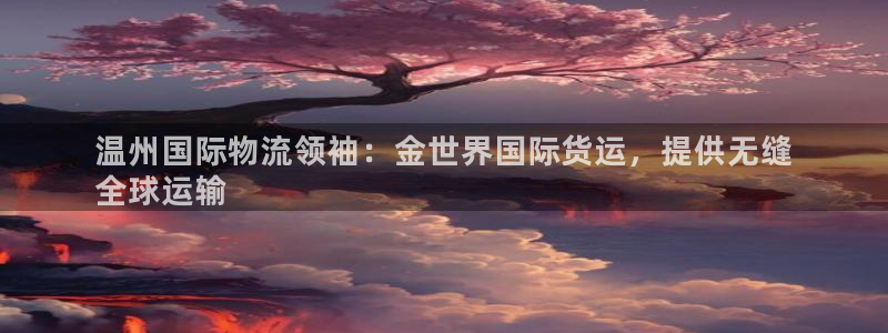 尊龙凯时几百万怎么下：温州国际物流领袖：金世界国际货运，