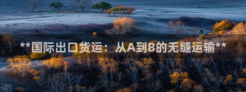 尊龙凯时提不了款：**国际出口货运：从A到B的无缝运输*