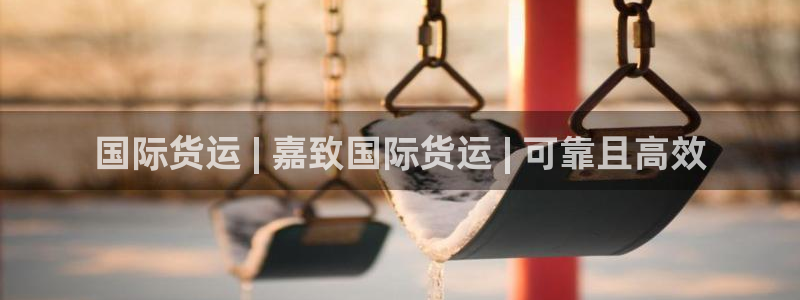 尊龙d88平台版下载：国际货运 | 嘉致国际货运 | 可