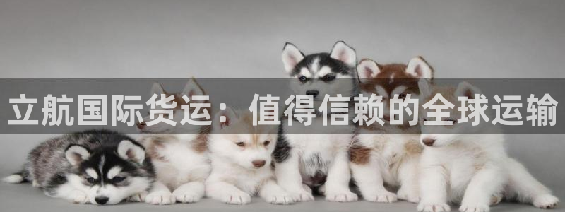 尊龙人生就是博登录首页：立航国际货运：值得信赖的全球运输