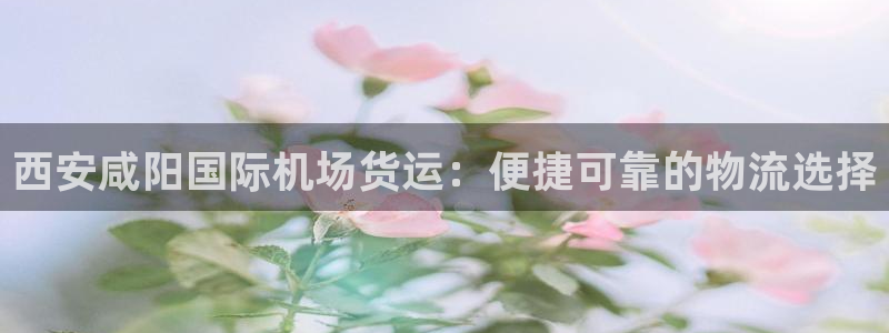 尊龙凯时提款冻卡吗：西安咸阳国际机场货运：便捷可靠的物流