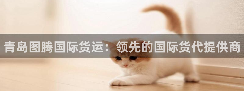 尊龙平台有谁玩过：青岛图腾国际货运：领先的国际货代提供商
