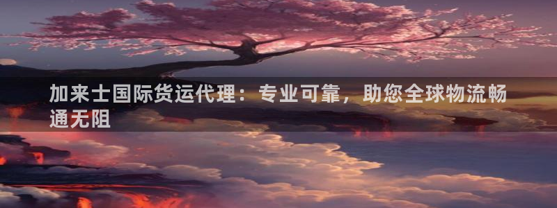 z6尊龙凯时集团：加来士国际货运代理：专业可靠，助您全球