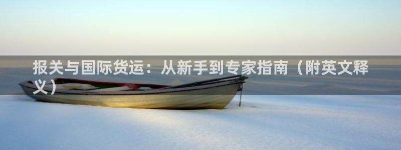 尊龙凯时app安装：报关与国际货运：从新手到专家指南（附