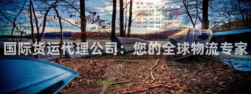 z6尊龙官方网站：国际货运代理公司：您的全球物流专家