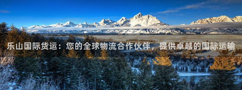 尊龙凯时游戏厅：乐山国际货运：您的全球物流合作伙伴，提供