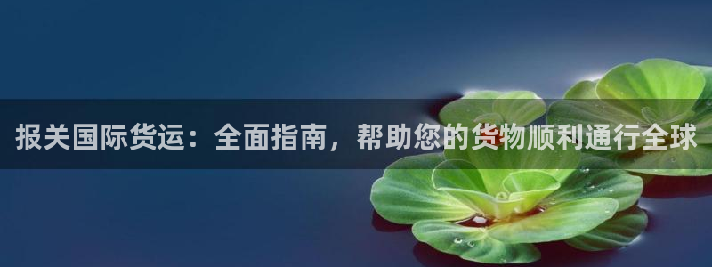 尊龙网址是多少：报关国际货运：全面指南，帮助您的货物顺利