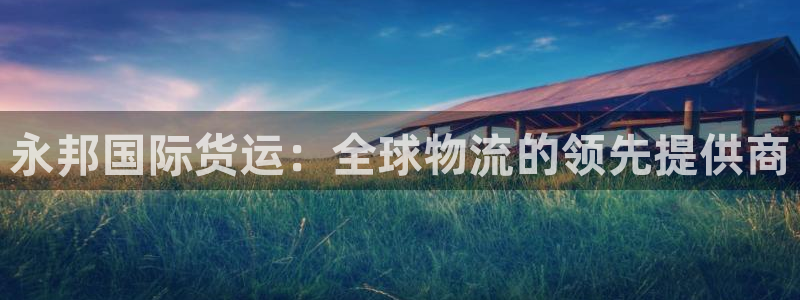 尊龙软件下载：永邦国际货运：全球物流的领先提供商