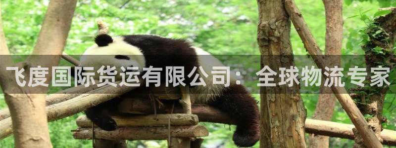 尊龙网站 人生就是博：飞度国际货运有限公司：全球物流专家