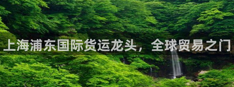 尊龙凯时网页版：上海浦东国际货运龙头，全球贸易之门