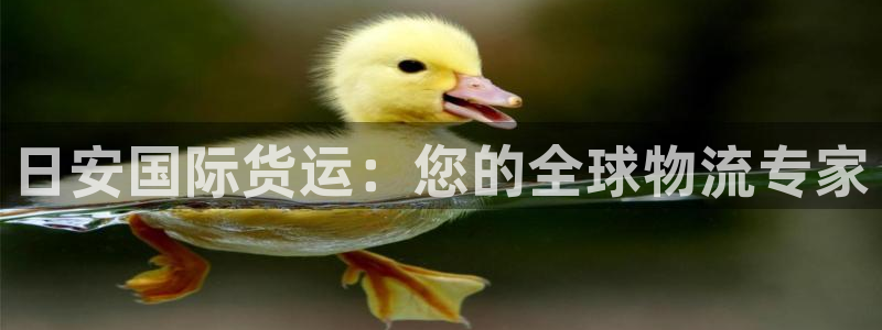 尊龙app|首选agdaohang：日安国际货运：您的全