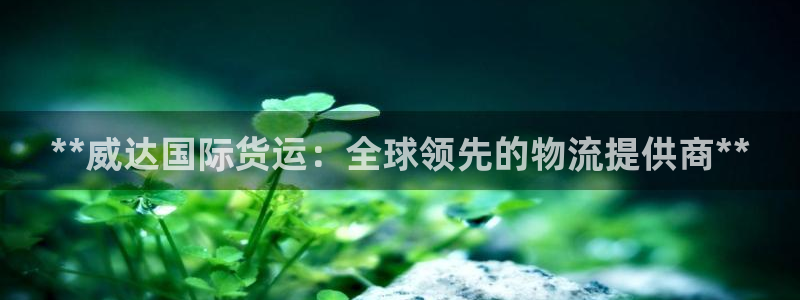 尊龙t300和t400哪个好：**威达国际货运：全球领先