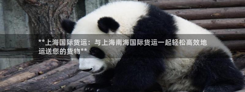 尊龙官网国际：**上海国际货运：与上海南海国际货运一起轻