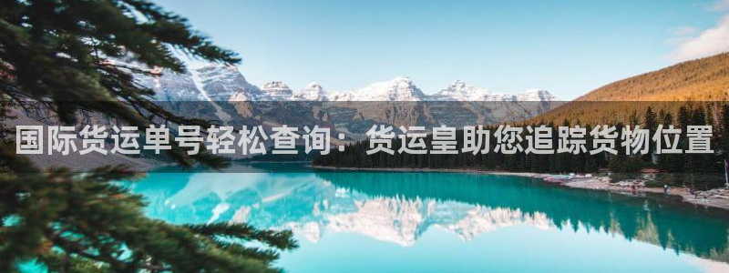 尊龙 10：国际货运单号轻松查询：货运皇助您追踪货物位置