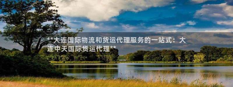 尊龙凯时美金能提取吗：**大连国际物流和货运代理服务的一