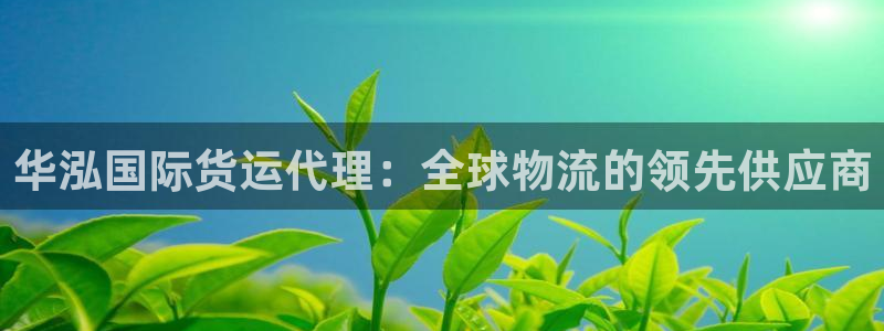 尊龙凯时官网平台：华泓国际货运代理：全球物流的领先供应商