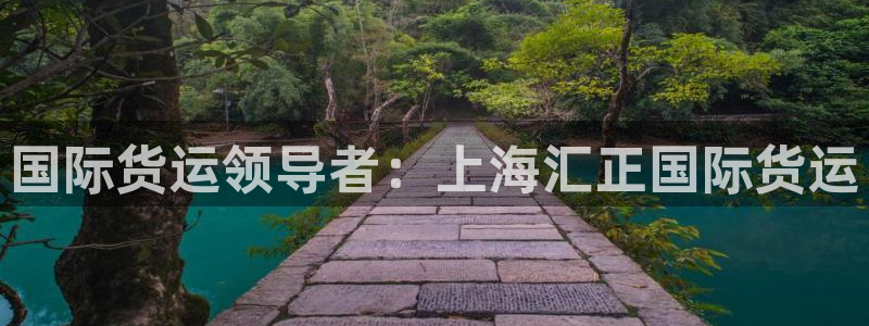 尊龙t300和t400哪个好：国际货运领导者：上海汇正国
