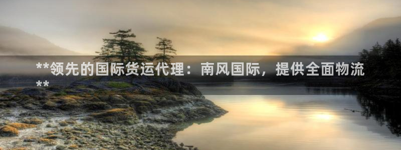 尊龙ag旗舰厅登陆：**领先的国际货运代理：南风国际，提