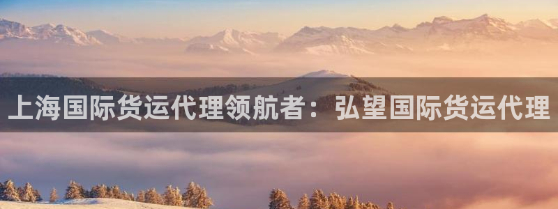 尊龙人生就是博旗舰厅：上海国际货运代理领航者：弘望国际货