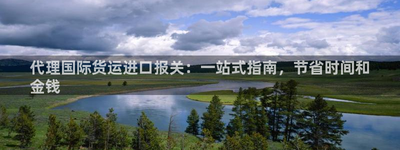 z6com尊龙凯时：代理国际货运进口报关：一站式指南，节