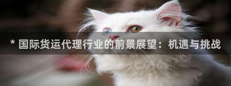 尊龙凯时为什么输了钱：* 国际货运代理行业的前景展望：机