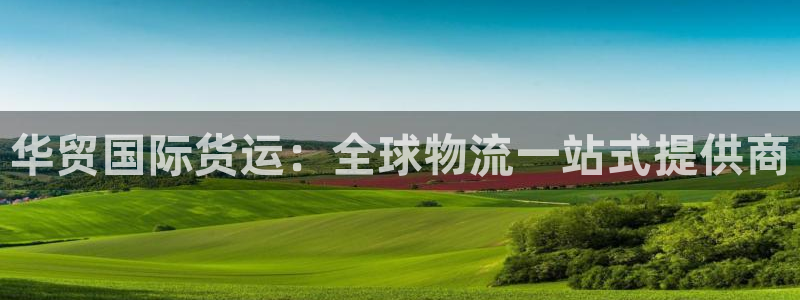 尊龙官方网站是真的吗：华贸国际货运：全球物流一站式提供商
